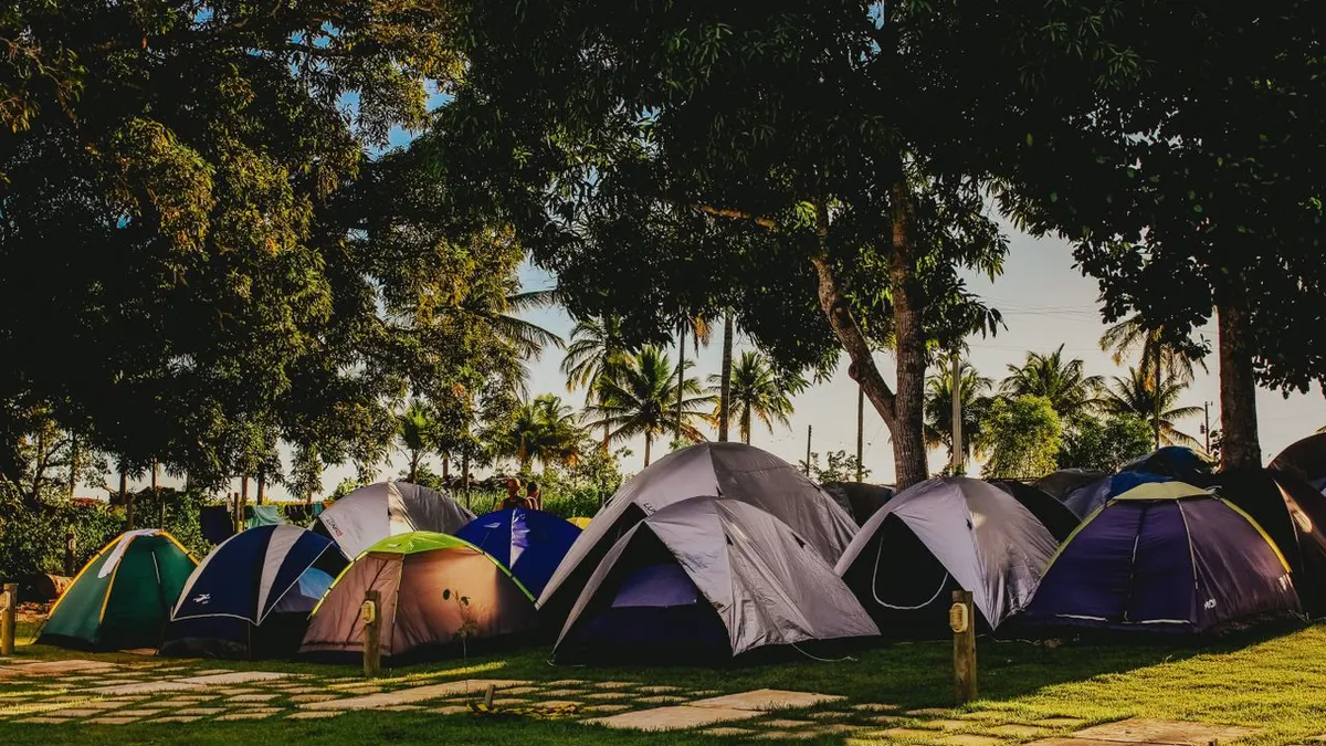 Camping pacífico con múltiples tiendas instaladas bajo árboles altos y frondosos durante un día soleado.