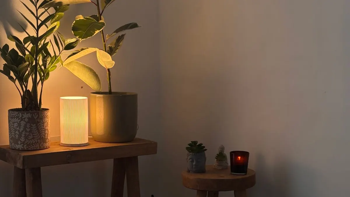 Un espacio de meditación sereno con iluminación tenue y plantas verdes, perfecto para relajarse.